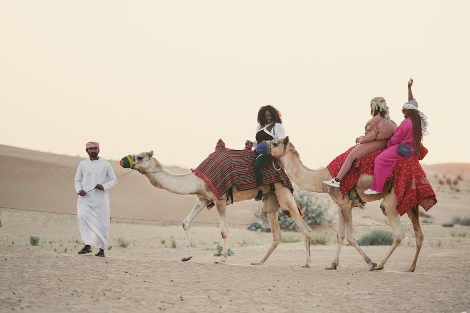 Desert Safari Booking App Dubai