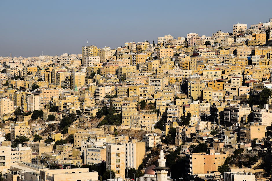 Software Company Jordan Amman